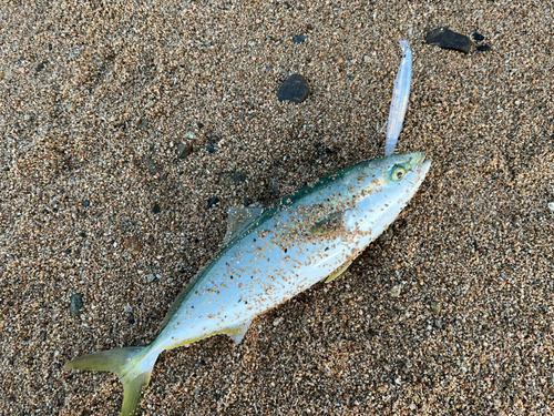 しまなみ海道