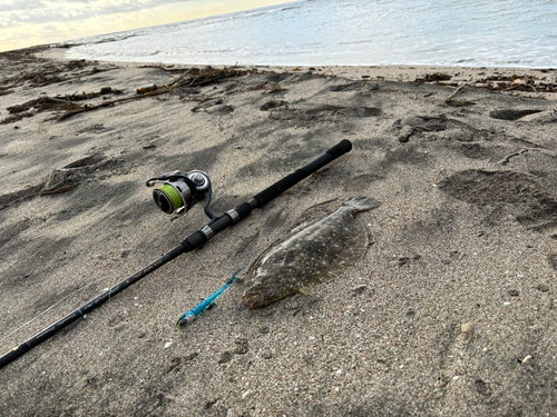 ソゲの釣果