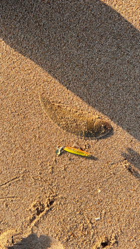 赤浜海岸