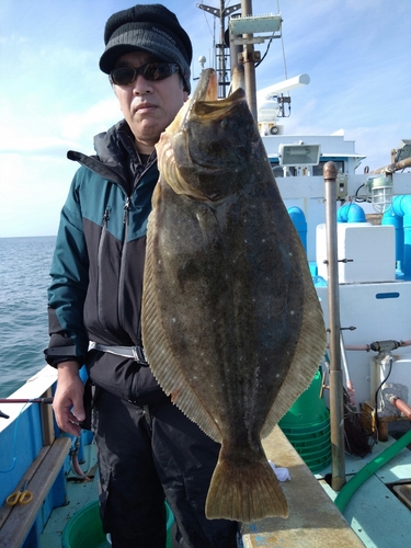 ヒラメの釣果