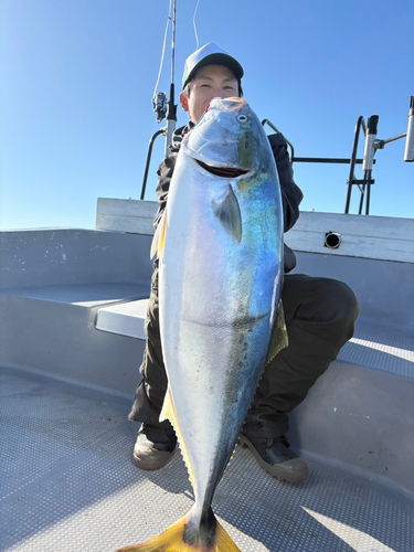 ブリの釣果