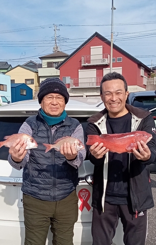 ハナダイの釣果