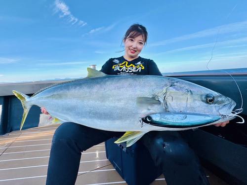 ヒラマサの釣果