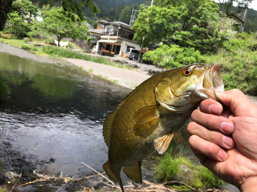 入間川上流