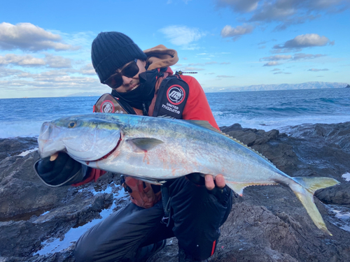 ワラサの釣果