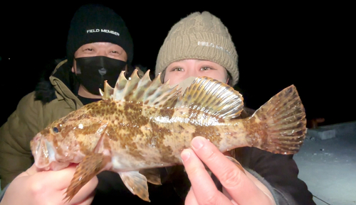 ベッコウゾイの釣果