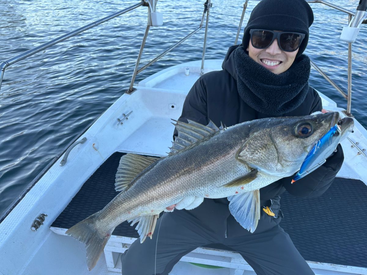 Ryo Kさんの釣果 2枚目の画像