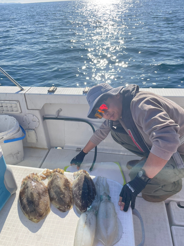 イカの釣果