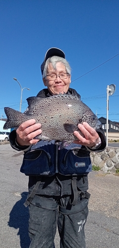 ハナダイの釣果