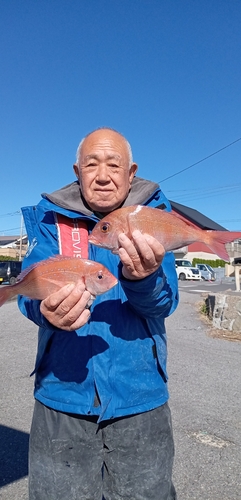 ハナダイの釣果