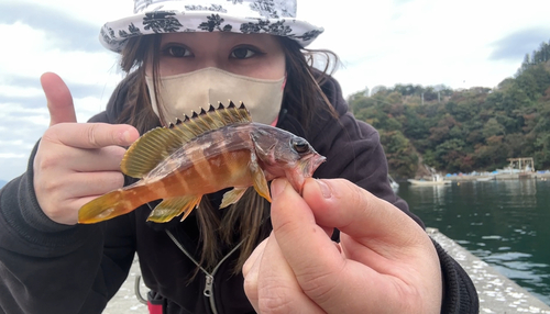 アカハタの釣果