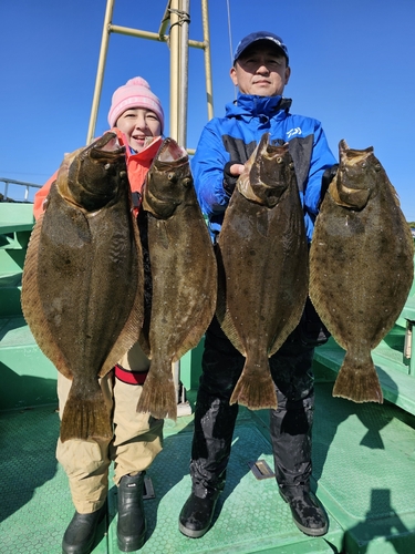 ヒラメの釣果