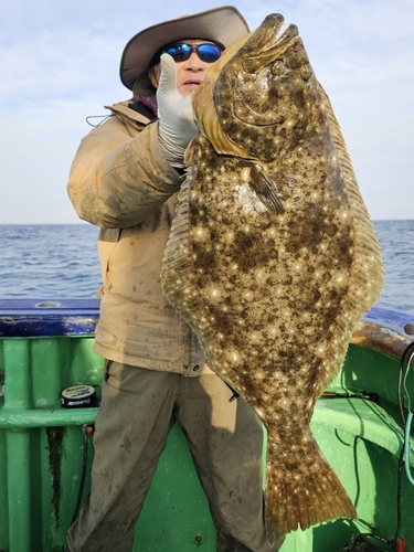 ヒラメの釣果