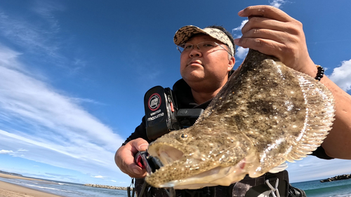 ヒラメの釣果