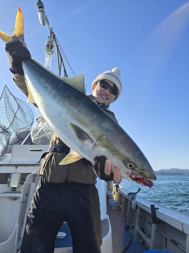 ハマチの釣果