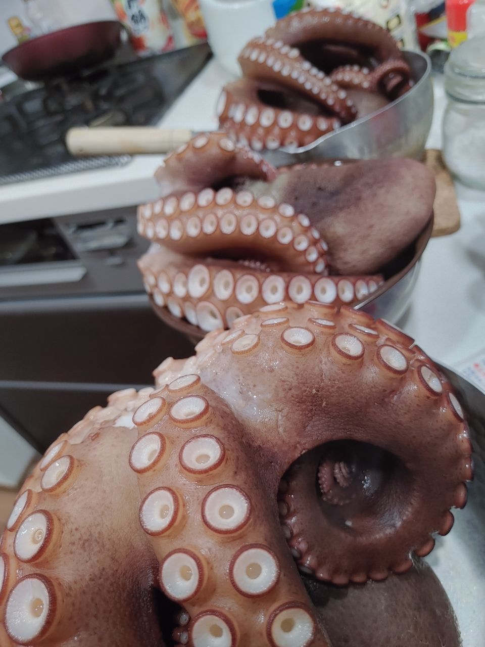 かずまっささんの釣果 2枚目の画像