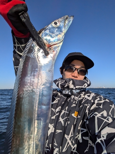 タチウオの釣果