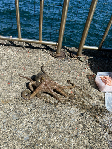 うみかぜ公園付近