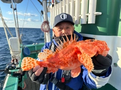 オニカサゴの釣果