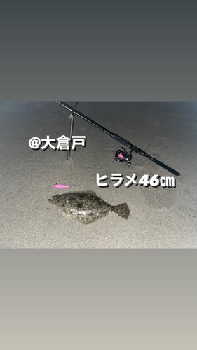 ヒラメの釣果