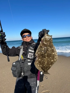 ヒラメの釣果