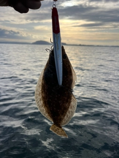 ソゲの釣果