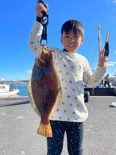 ヒラメの釣果