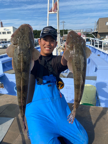 マゴチの釣果