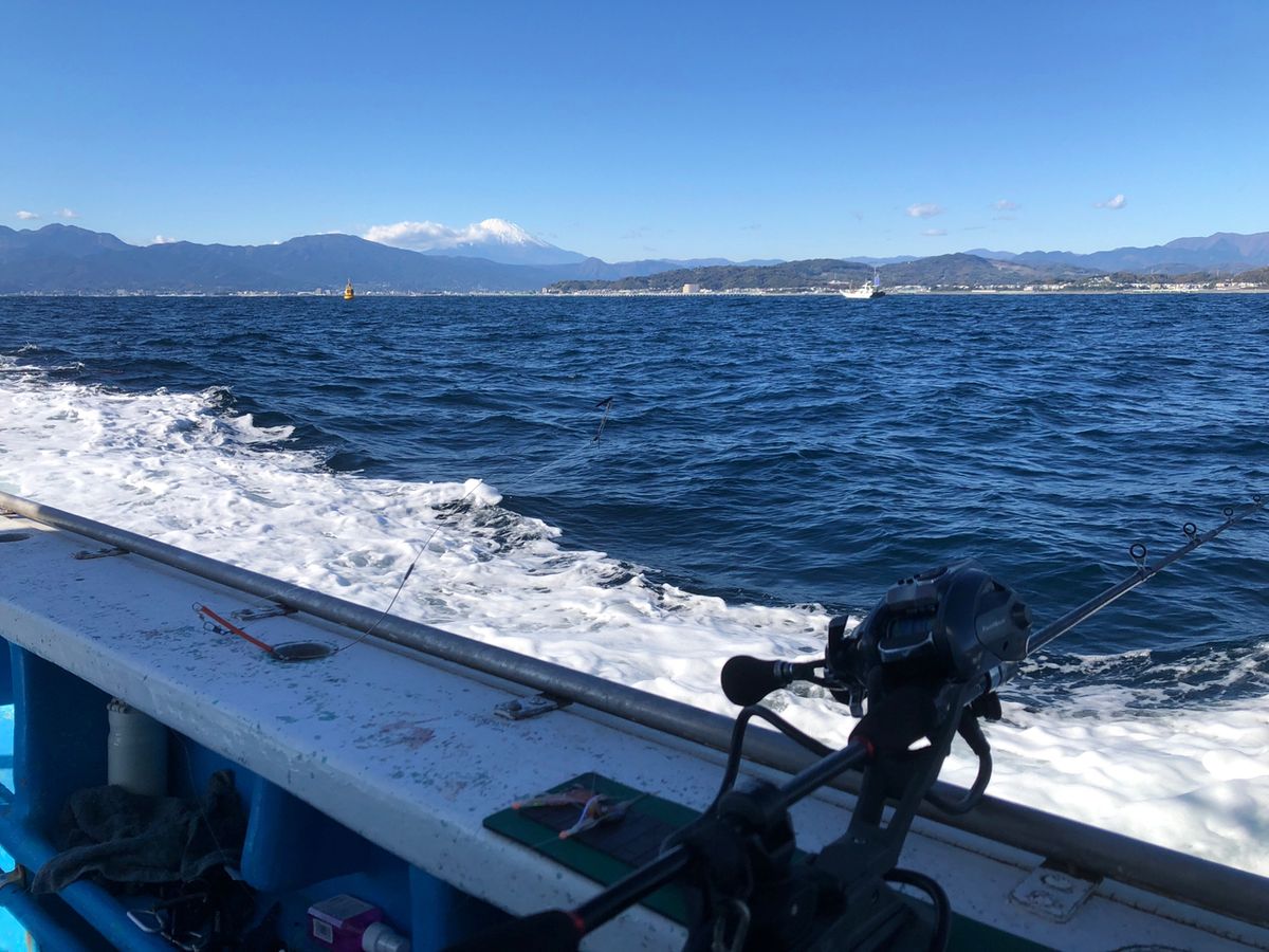 1/144さんの釣果 2枚目の画像