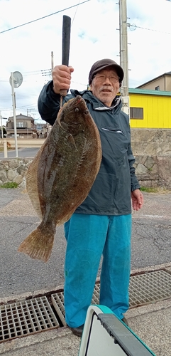 ヒラメの釣果