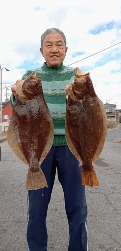 ヒラメの釣果