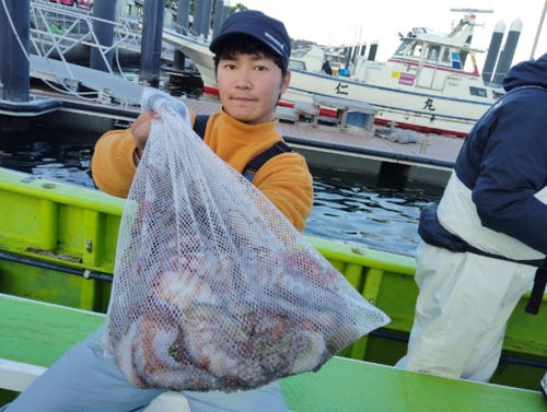 マダコの釣果