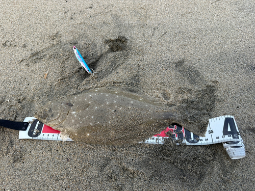 ソゲの釣果