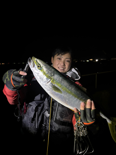 イナダの釣果