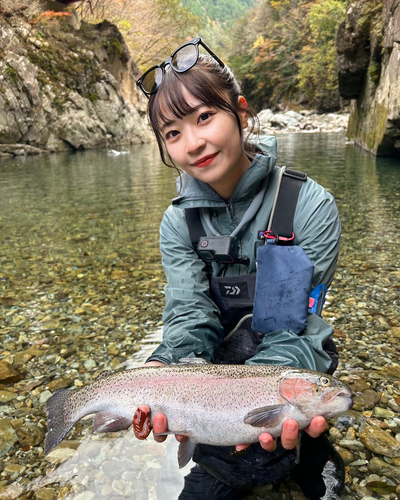 レインボートラウトの釣果