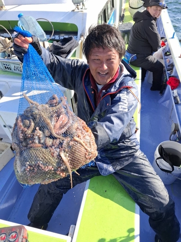 マダコの釣果