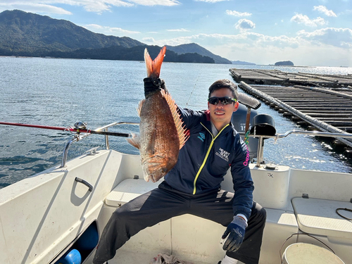 マダイの釣果