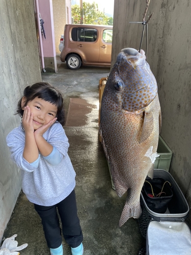 コロダイの釣果