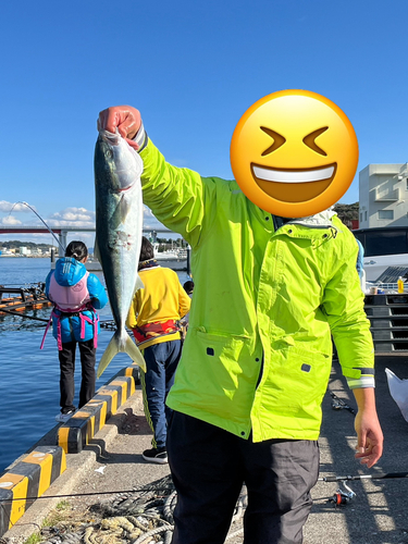 イナダの釣果