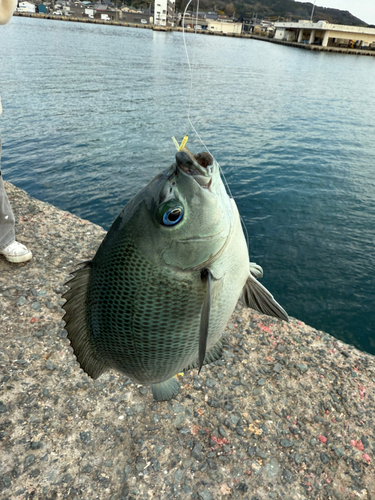 西浦漁港