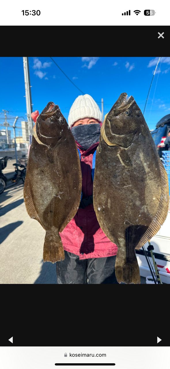 ひまわり666さんの釣果 1枚目の画像