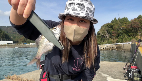 タナゴの釣果