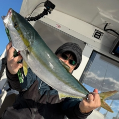 ワラサの釣果