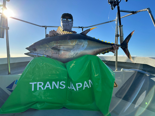 キハダマグロの釣果