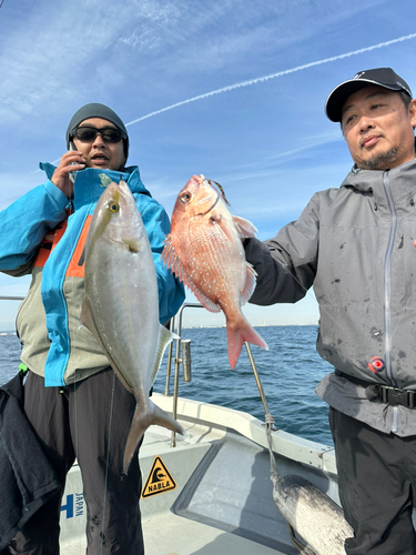 マダイの釣果