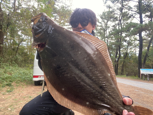 ヒラメの釣果