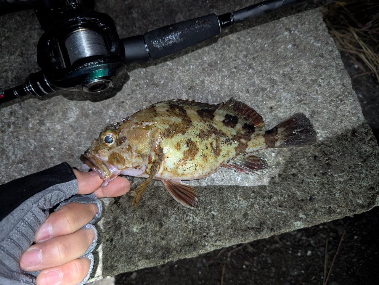AbuGarcia ソルティースタイル ベイトフィネスカスタム STBC