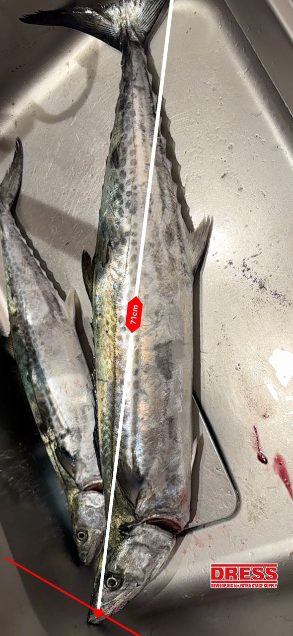 ふじFujiさんの釣果 3枚目の画像