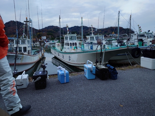 カワハギの釣果