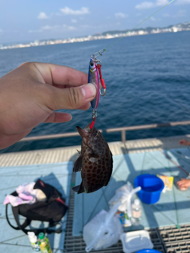 桜島海づり公園